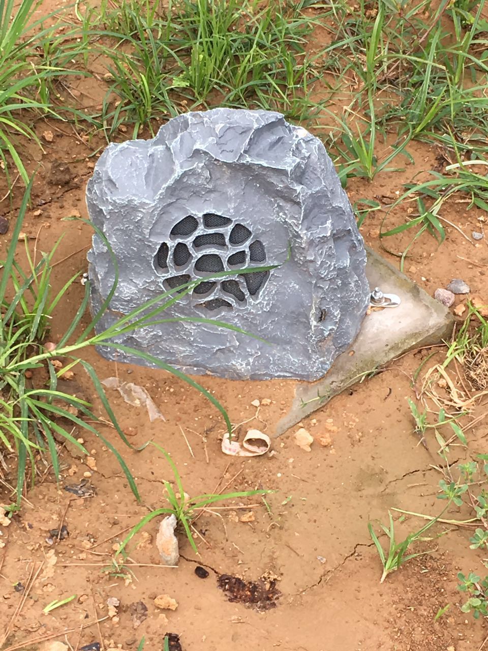 bte·365(中国)体育在线官网